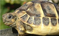 http://www.dddpan.com/news/98d999260.html