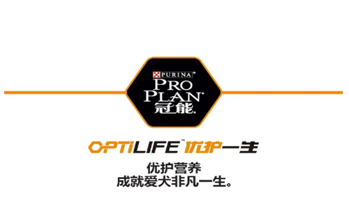 http://www.dddpan.com/news/31b999327.html