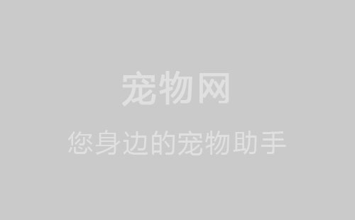 http://www.dddpan.com/news/27e999230.html